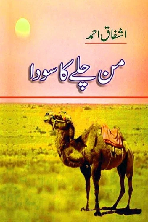 Mann Chalay Ka Sauda tv show poster