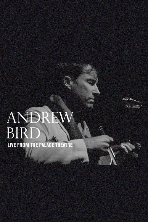 Andrew Bird: Live From The Palace Theatre movie poster