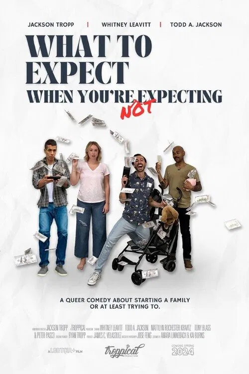 What to Expect When You're Not Expecting movie poster