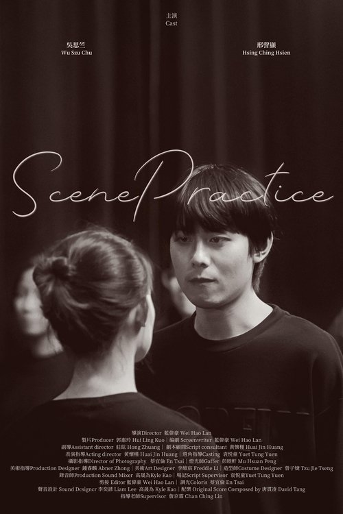 Scene Practice movie poster