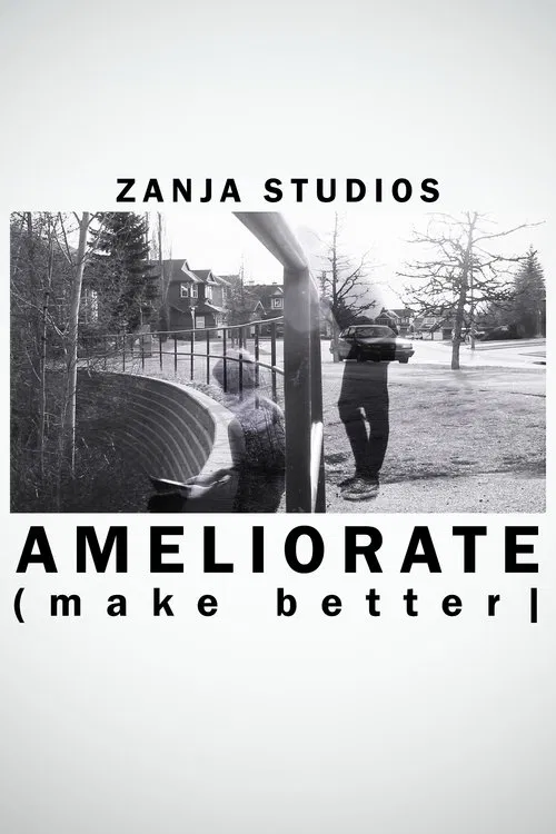 Ameliorate (Make Better) movie poster