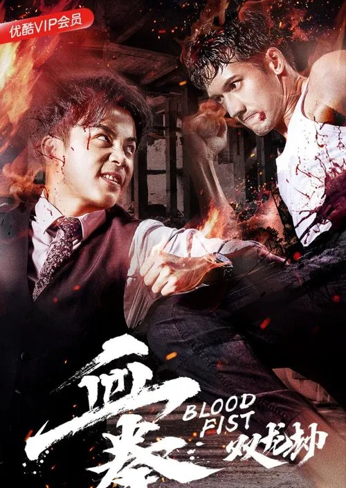 Poster do filme 血拳之双龙劫