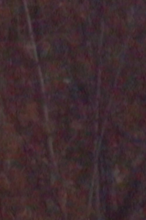 November movie poster