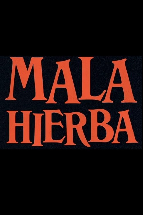 Poster do filme Mala Hierba