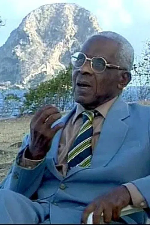 Memory's Gaze movie poster