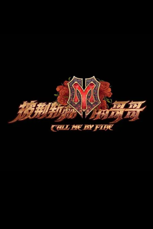 披荆斩棘的哥哥演唱会 tv show poster