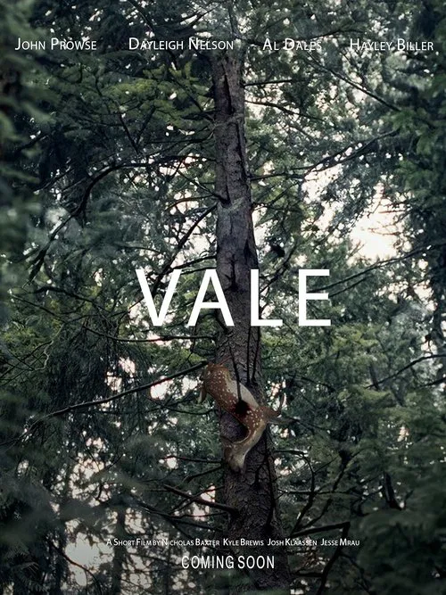 Vale movie poster