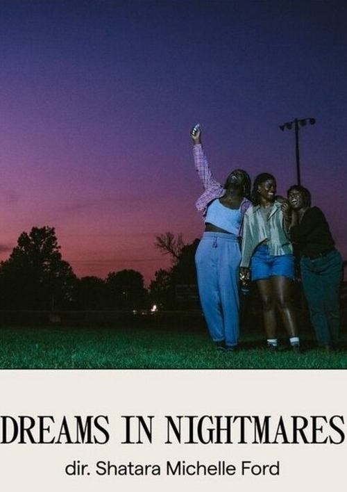 Dreams in Nightmares movie poster