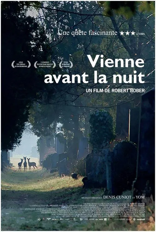 Vienne avant la nuit movie poster