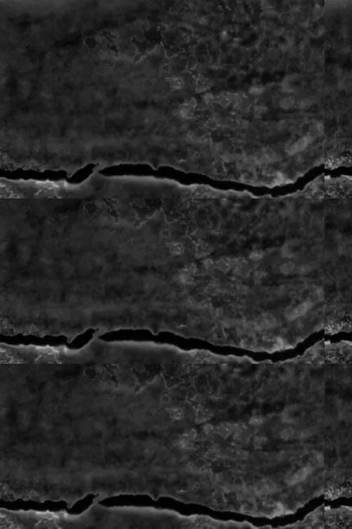 Poster do filme A Radical Film