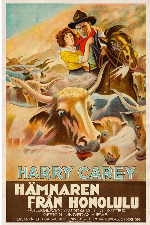The Outlaw and the Lady movie poster