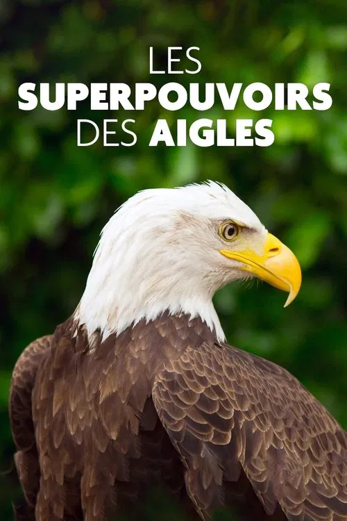 Superpowered Eagles movie poster