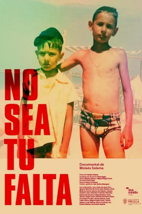 Poster do filme No sea tu falta