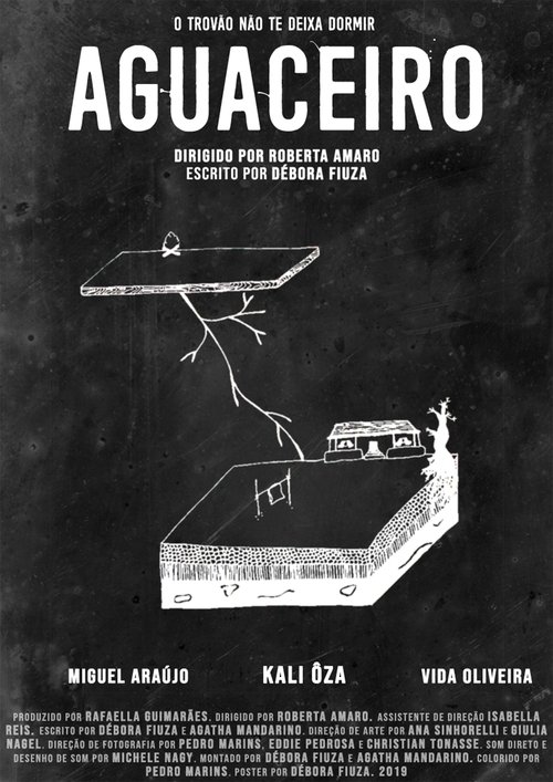 Poster do filme Aguaceiro