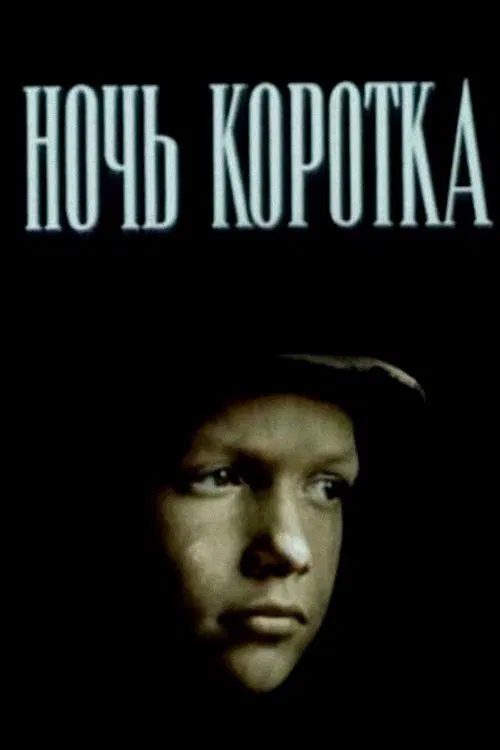 Poster do filme Night Is Short
