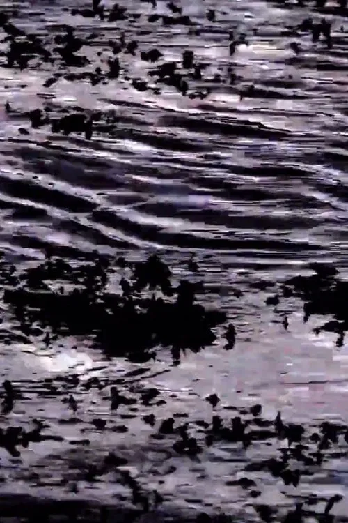 Poster do filme The Invisible Landscape