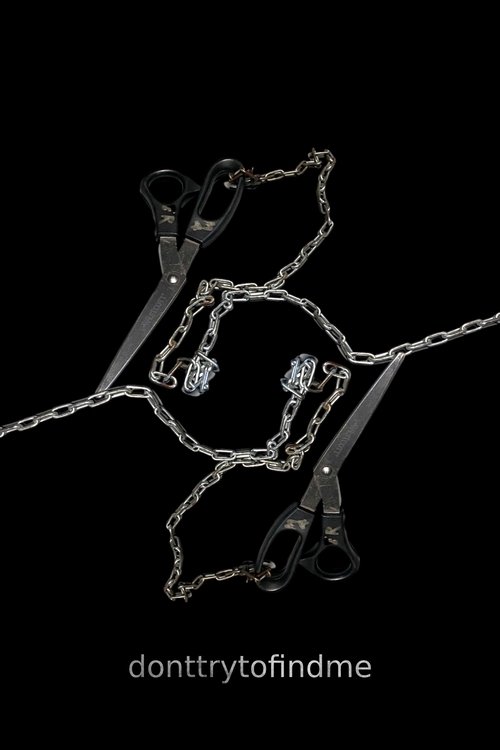 don't try to find me movie poster