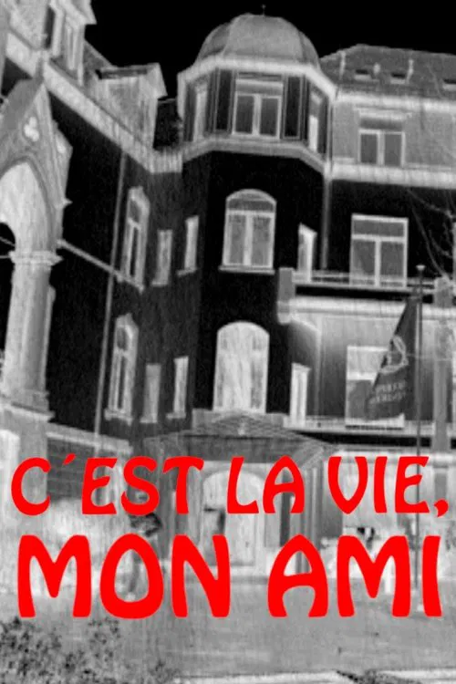 C'est la vie, mon ami movie poster