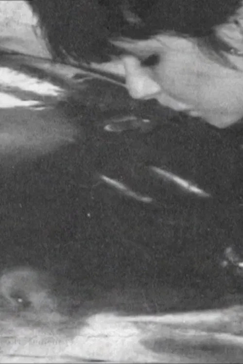 The World as a Collection movie poster