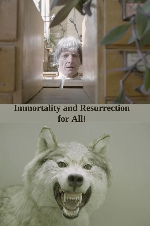 Immortality and Resurrection For All! movie poster