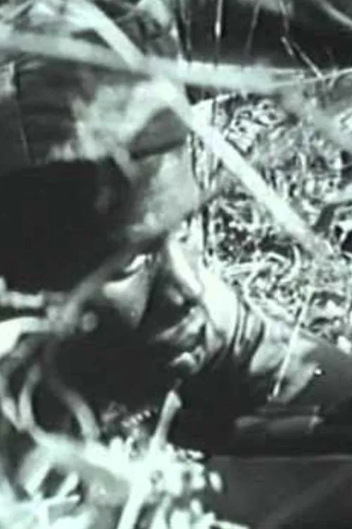 Anos de Guerra - Guiné 1963-1974 movie poster