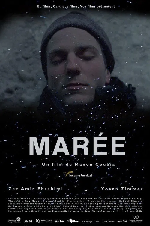Marée, histoires de montagne movie poster