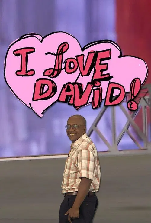 I Love David tv show poster