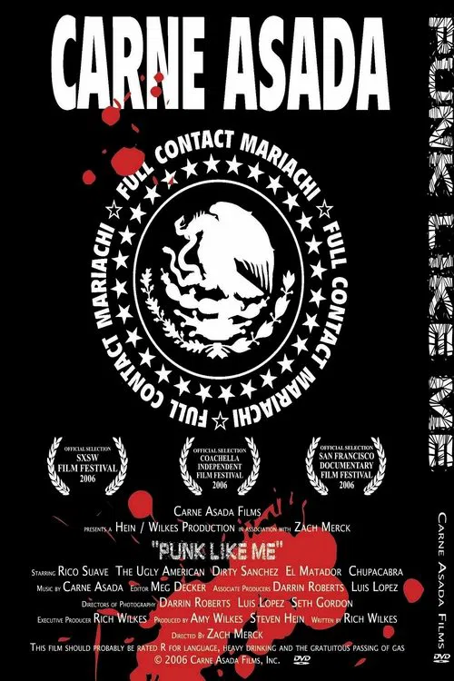 Punk Like Me movie poster