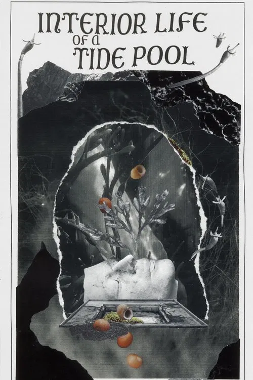 Interior Life of a Tidepool movie poster