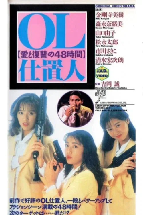 OL punisher 48 hours of love and revenge movie poster