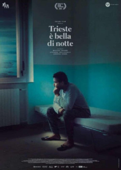 Trieste Shines at Night movie poster