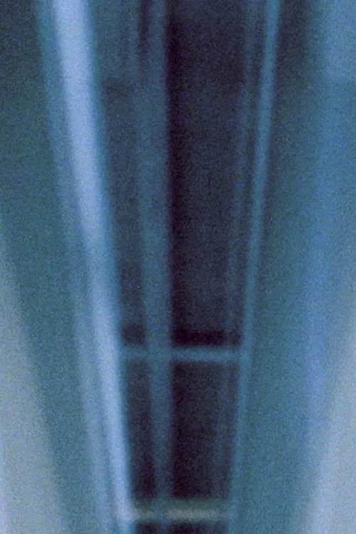 Untitled (Generali Foundation Vienna) movie poster