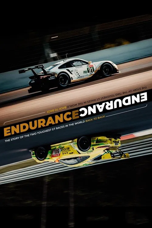 ENDURANCE movie poster
