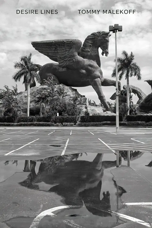 Desire Lines movie poster