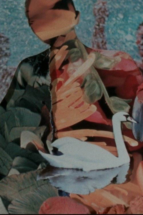 Shells and Rushes movie poster