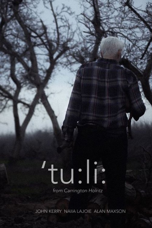 ‘tu:li: movie poster