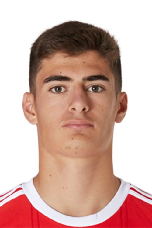 António Silva profile picture