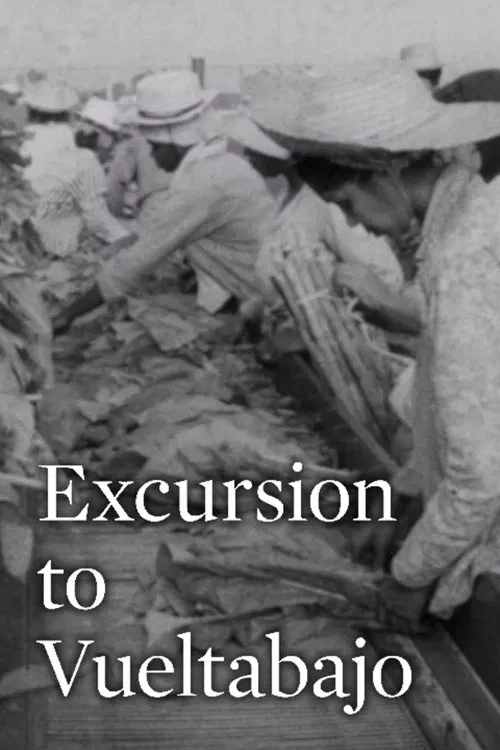 Excursion to Vueltabajo movie poster