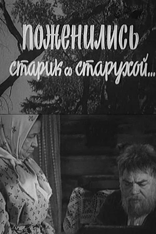 An Old Man and An Old Woman Got Married movie poster
