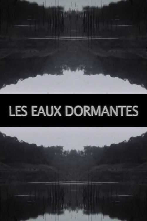 Les Eaux dormantes movie poster