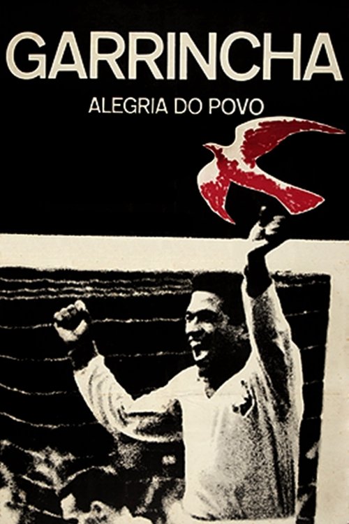 Poster do filme Garrincha: Joy of the People