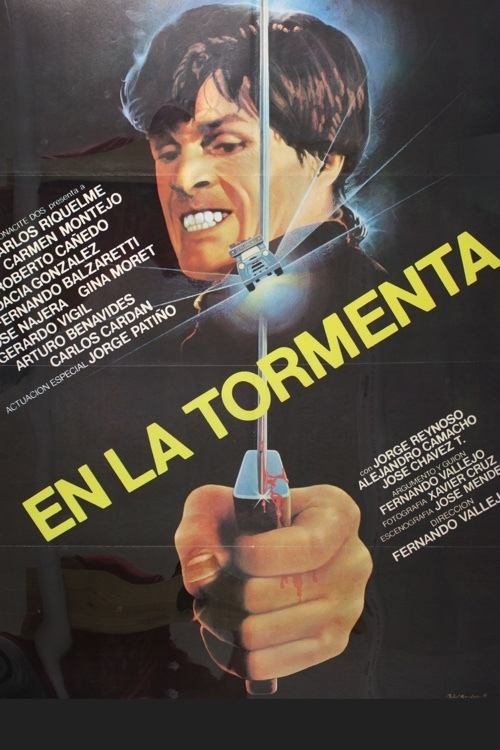 In the Storm movie poster