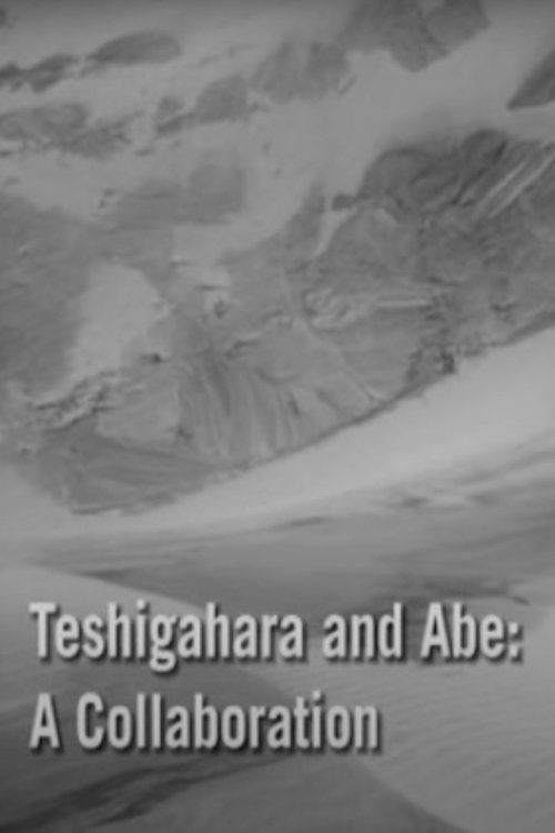 Teshigahara and Abe movie poster