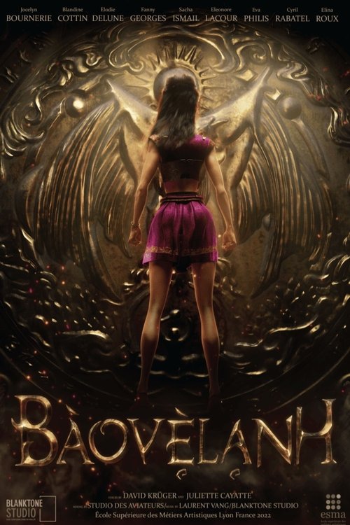 BaoVeLanh movie poster