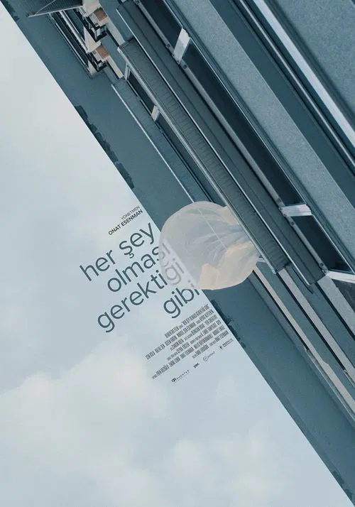 Her Şey Olması Gerektiği Gibi movie poster