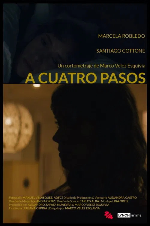 Four Steps movie poster