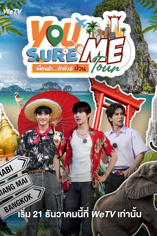 You Sure Me Tour tv show poster