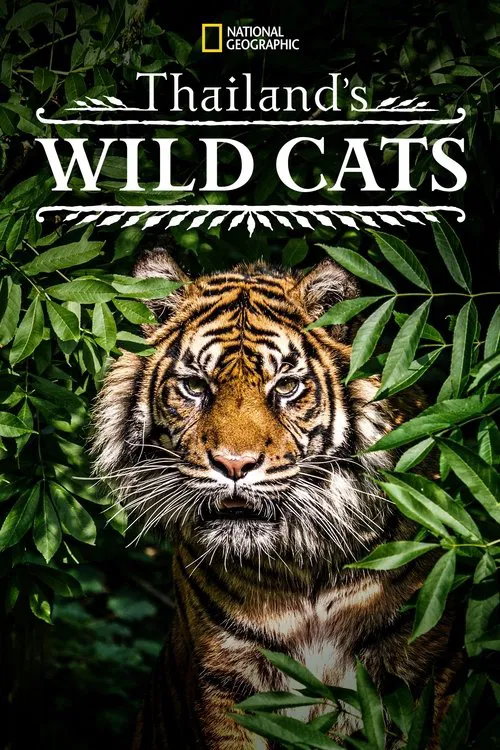 Thailand's Wild Cats movie poster