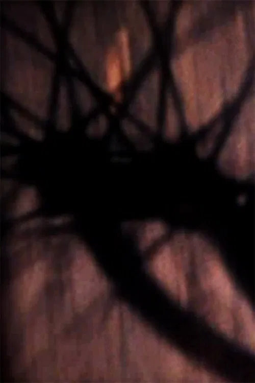 A Tale Part Told movie poster