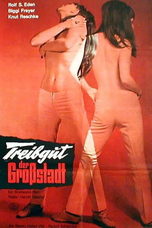 Treibgut der Großstadt movie poster